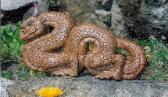 Soapstone Sculpture of a Dragon ~ Sold to Private Collection