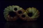 Wonderstone Sculpture ~ Currently Available