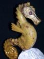 Pyrophyllite Sculpture ~ Currently Available